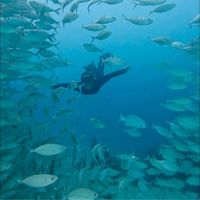 Babett Eleanor's Photo