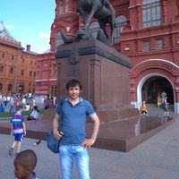 Elvin Mustafa's Photo