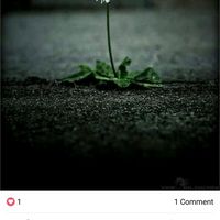 Natasha Hubber的照片