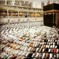 Ãbđểł Hãmêđ的照片