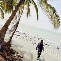 Noritorion  Kawanoshima's Photo