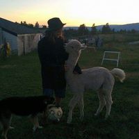 Guillaume Laberge's Photo