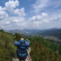 Carolin Waldmann's Photo