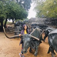 Mehreen Iftikhar's Photo