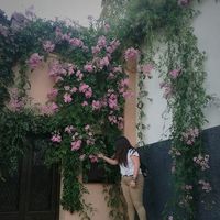 Fotos de Janny Devaud Godoy