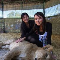 Aika Taniguchi's Photo