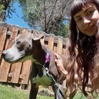 Jhula  Dumortier的照片