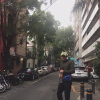 Fotos de Paul Steiner