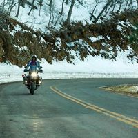 Gerardo Reed's Photo