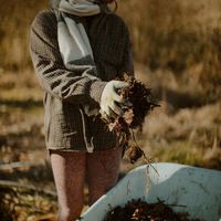 Hannah Hunter的照片