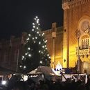 Medieval Christmas Market at HGM's picture