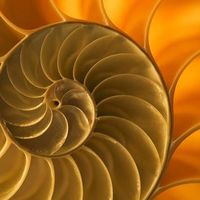 Fotos von Gregory Moulio