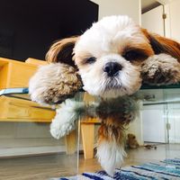 Kari Rodriguez的照片