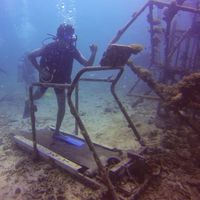 Debadri Mondal's Photo