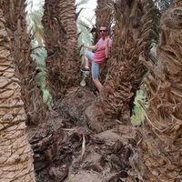 Alexandre Coelho's Photo