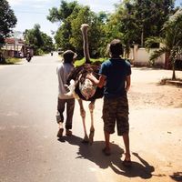 Aymeric Dupas的照片