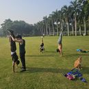 Immagine di Open Calisthenics, Gymnastics & Mobility Workshop