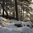 Hike In Nackareservatet's picture