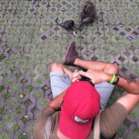 fabrizio ferigo的照片