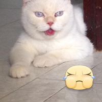 Nguyên Wind's Photo