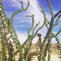 Fotos de Amiti Uttarwar