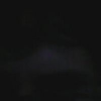 Hvhhc Hhfhjf's Photo