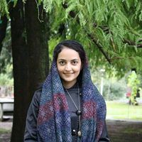 Maedeh Amiri的照片