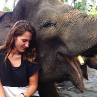 Aileen Ahlert的照片