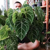 Manuel brisco's Photo