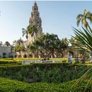 Morning Walk at Balboa Park的照片