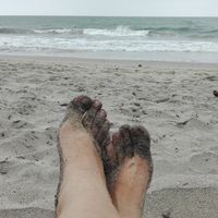 Diana Ayala的照片