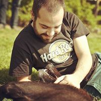 Ozan Gundogdu's Photo