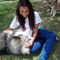 Caro Velasteguí's Photo