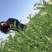 Catherine  Fmin的照片