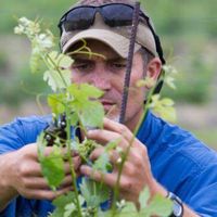 Fotos de Dan McLaughlin