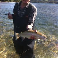 Juan Pablo Castro's Photo