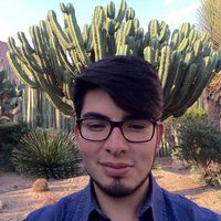 Le foto di Alfonso Caro