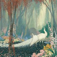 Fernanda Arias Zavando's Photo