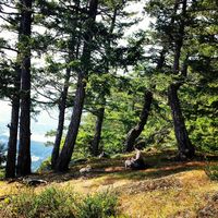 Alexander Watkins的照片