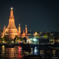 cute pookie的照片