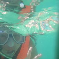 Photos de Tessa Chan