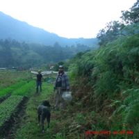 Nicolas Felipe Silva's Photo