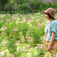 Fotos von Ching Wong