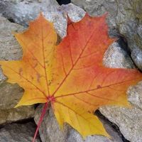 Michael Rolke的照片