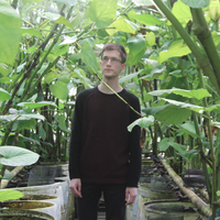 Fotos de Michael Foisy