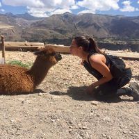 Gwenaëlle Mayor的照片