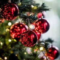 Bruna Sofia De Castro's Photo