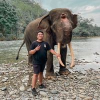 Hafizh Saleh's Photo