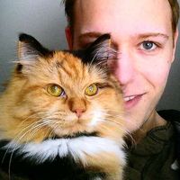 Jason Walker的照片