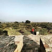 Tiger's Unixy的照片